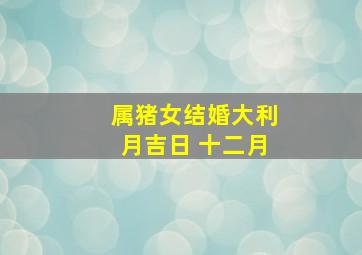 属猪女结婚大利月吉日 十二月